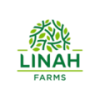 Linah Group Egypt Jobs Expertini